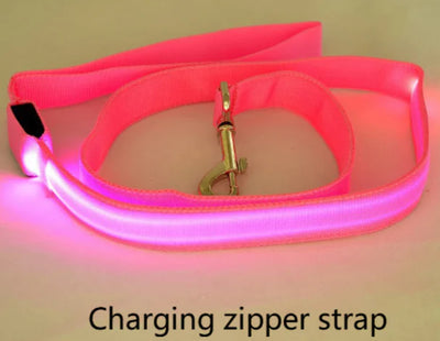 LED Dog Leash with Fluorescent Collar – Night Visibility Leash & Glow-in-the-Dark Safety Set